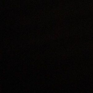 Meet your Posher, Damond